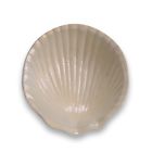 018669c6300b48368553d55559d6607d Highland Dunes Frances Coral Reef Sea Shell Salad 192449998489