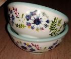 085081410016 Pioneer Woman Kari Design Stoneware Mini Dipping Bowls