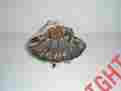 100088 Mudpie Mud Pie Nautical Seashells Bowl With Starfish Pedestal Item 718540139691