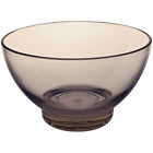 165303i Bowl Lrg Acrylic Tint Coolgray 813065006821