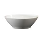 40100 Homer Laughlin China Durathin