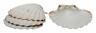 7817236 45678 Hic Harold Scallop Baking Shells Natural Sea For 781723456786