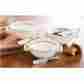 4851065 Mud Pie Mh6 Fall Thanksgiving Holiday Ceramic Dip Cup Spreader Set
