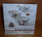 5159545 Pfaltzgraff Christmas Winterberry Set