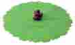 520222 Charles Viancin Silicone Lid Grape 9 849606044755