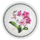 520493 Portmeirion Exotic Botanic Garden 749151520493