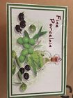 5206586050346 Set Of Four Olive