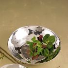 5927 Beatriz Ball Soho Large Organic Bowl 871276006535