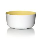 848442001793 Pantone Universe Bowl 3