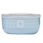 855894004111 Kangovou Stainless Steel Snack Bowl Frosted Blueberry Bowls