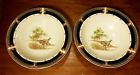 9188 Noritake Keltcraft Tranquil Glen