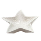9729449 Tabletop Starfish Bowl Ceramic Ocean Raised Bumps 098111172259