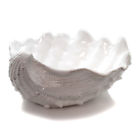 9729949 Tabletop White Shell Shape Bowl Ceramic Beach Ocean 098111173164