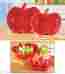 98633 Winston Brands Set Of 2 Apple Fruit Kitchen Bowls 715933513168