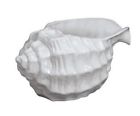 Andrea By Sadek Tropical Nautical White Conch Seashell Serving Bowl Dish Planter 053706200694