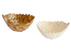 Ap-cap-2082-n Dekorasyon Gifts Decor Leaf Bowl 190971580288