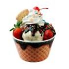 330048 Bowl Case Melamine Savings Cream Ice 24 Bulk