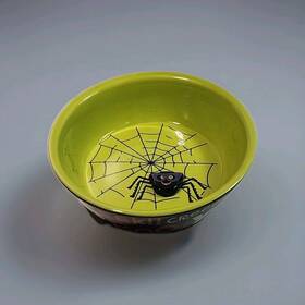 1lpr1605 Hallmark 2009 Halloween Spider Bowl Yikes Eek Boo Creek