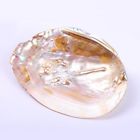Herw0ok Ruilong Natural Water Pearl 719970431874