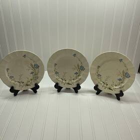 Jx102 Home Beautiful Breezy Blue Floral Stoneware 9 Inch Salad Appetizer Desert 3