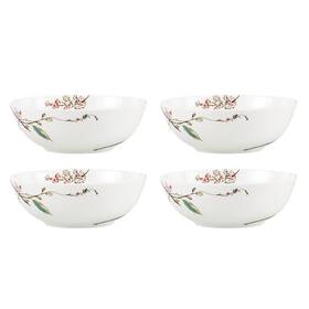 897258 Lenox 194372035439 Chirp Soup Bowls Set Of 4