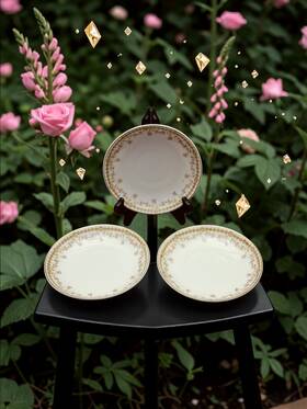 Bss63 Limoges Set Of 3 Bassett Austria Pink Floral Roses Saucers Pattern 6 1/4 Inch