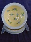 Mesa Isabella Cereal Bowl Multiples Blue Rim Have More Items
