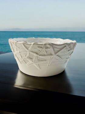 104160 Mud Pie Classic 2009 Starfish Salad Bowl 10 Inch # Chip