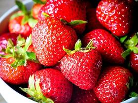 Mud Pie 718540826904 Strawberry Fruit Bowl Inch Berry Good