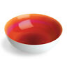 72391 N-a French Bull Ombre Collection Pasta Bowl Shipping Is 0818727013421