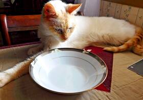 3691 Noritake 3991 Legendary 7.5 Inch Coupe Soup Bowl White Lillys Ellington Pattern#