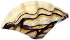 Olivia M57 Jozefina Marble Caramel 828756369543