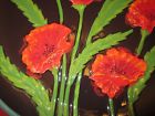 Pattern Decorative " Bella Bowl Large "poppies Ganz Casa 14