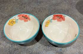 Nbr52d Pioneer The Woman 2 Footed Floral Bowls Solid Outside Ml17a