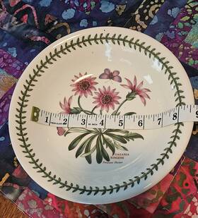 546578 Portmeirion Exotic Botanic Garden 8.5 Inch Pasta Bowl Gazania Rigens