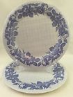 Arp55 Salad Arcopal Vtg Needle Blue Plate Floral Border Flower France Point 2