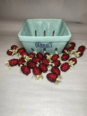 Signature 020211040954 Signiture Ceramic Berries Bowl Kitchen Container With Raspberries