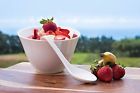 Sipnstyle Asian Miso Soup Bowls Set With Spoons High Quality 100 Melamine White Large 637390567631