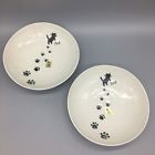 Sp58-c Kafuh Japan Oriental Soup Rice Noodle Bowl Set 4539429002754
