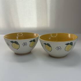 Spectrum Designz 74899 Lemon Bloom Set Of 2 Cereal Bowls 6 Inch Ivory Yellow Stoneware