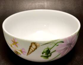 2007-a7 Spode Shoreline Breeze Porcelain Soup Salad Dessert Bowl Replacement
