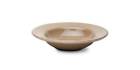 Tag02154 Tag Sonoma Rimmed Bowl Tan