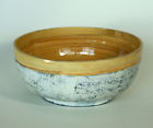 Xt2021-egw Bodhi Tree Collections Salad Bowl 853764005794