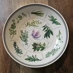 Williams - Sonoma WSO24 Various Herbs Pasta Serving Bowl 13" Made Portugal. Fixed Price $26.00.