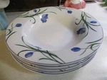 Set Of - Mikasa Casual Classics Garden Poetry Y4005 Soup Pasta Bowl 9". Fixed Price $49.99.