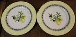 1999 Royal Doulton Carmina Dinner Plates 11" TC1277 Yellow Lemons & Olives. Fixed Price $16.00.