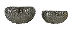 Lot Of 2 Michael Aram Auth Ocean Series Sea Urchin Nut Silver Tone. Fixed Price $90.21.