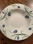 Mikasa Casual Classics Garden Poetry Y4005 Rimmed Soup Bowl Diameter 9 Inches. Fixed Price $12.50.