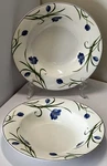 Set Of 2 Mikasa Garden Poetry Y4005 Soup Bowls 9 Excellent Used Condition. Fixed Price $18.20.