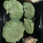 Bordallo Pinheiro Chip Dip Bowl Cabbage Leaf Serving Dish Set Of 4. Fixed Price $350.00.
